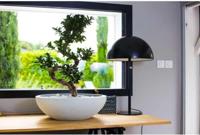 EDA Graphit wastafelpot Ø59cm - Inhoud 39L - Wit gekalkt (3086960241902) - thumbnail