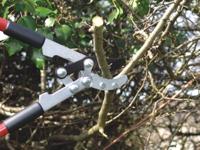 C.K G5014 Telescopische takkenschaar Amboss - thumbnail