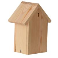 Vlinderkast Silhouet - thumbnail