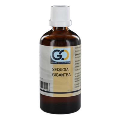 Sequoia gigantea bio 100 Milliliter