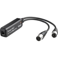 Dante Avio analog output adapter 0x2 XLR - thumbnail