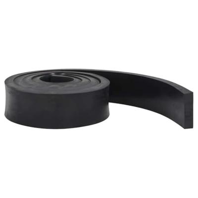 VidaXL Rubberen rand voor sneeuwploeg 250x10x2 cm zwart