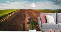 Fotobehang - Landbouw, premium print, inclusief behanglijm - thumbnail