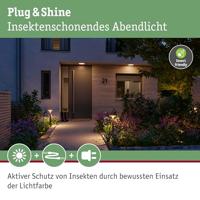 Paulmann 94755 Plate ZB 2200-3000K Wegverlichting LED 5.5 W Antraciet - thumbnail