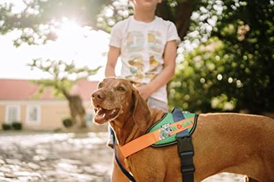 JK9® Paw Patrol Hondentuig Rocky - Maat XL