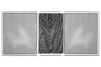 Muggennet Schellenberg Aluminium Wit Uitschuifbaar Met lijst Glasvezel 75 x 100 cm - thumbnail