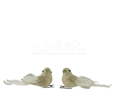 Kerstornament Vogel Clip Goud 2st
