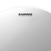 Evans B20G1 Coated Drumvel 20 Inch - thumbnail