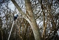 Makita DUA300Z Accu Stokkettingzaag 30cm 2x18V Basic Body - thumbnail