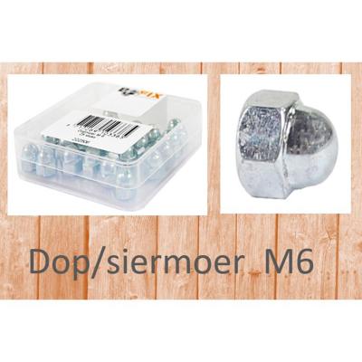 Bofix dopmoer m6 per 25