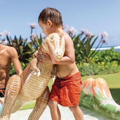Intex Zwembad speelcentrum jurassic adventure