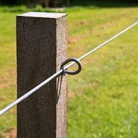 Gallagher Bevestigingsdraadje kort voor Insultimber/Eco paal (25) - 011056 011056 - thumbnail