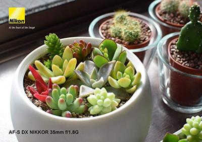 Nikon AF-S 35mm F/1.8G DX - thumbnail