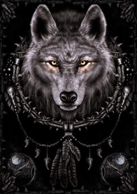 Poster Spiral Wolf Dreams 61x91,5cm Poster Spiral Wolf Dreams 61x91,5cm