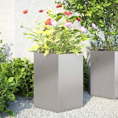 VidaXL Plantenbakken 2 st zeshoek 46x40x45 cm roestvrijstaal VidaXL Plantenbakken 2 st zeshoek 46x40x45 cm roestvrijstaal