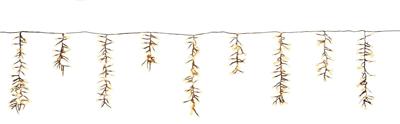 Ijspegelverlichting cluster 1032l flash 7m classic warm - Annas collection