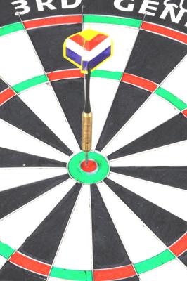 Dartbord 3e generatie, Afrikaans sisal, nietjesvrij / PU 1 Dartbord 3e generatie, Afrikaans sisal, nietjesvrij / PU 1