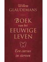 Boek van het eeuwige leven - Willem Glaudemans - ebook - thumbnail