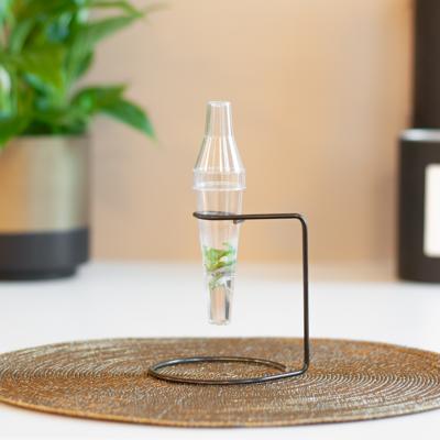 Spathiphyllum - Weefselkweek plantje