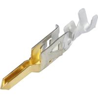 MINIFIT 39000432 Molex Inhoud: 1 stuk(s) - thumbnail