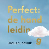 Perfect: de handleiding - thumbnail