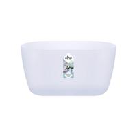 Elho brussels orchidee duo 25 transparant - thumbnail