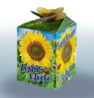 Greengift Zonnebloem - thumbnail