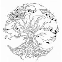 Terré percussion Shaman Drum Lady of the Wood - Goat 50cm handtrommel - thumbnail