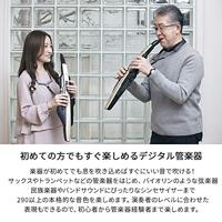 Roland AE-20 Aerophone digitaal blaasinstrument - thumbnail