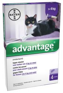 ELANCO ADVANTAGE KAT
