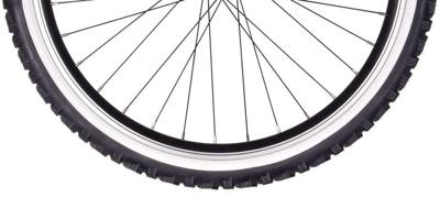 Cube Kids 240 Tire by Kenda