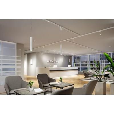 Paulmann 91383 ProRail3 Endcap 230V-kabelsysteemcomponenten Eindstuk ProRail3 Wit