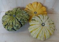 Herfst decoratie patisson panache 1 stuk Warentuin Natuurlijk - Warentuin natuurlijk - thumbnail