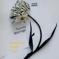 Optimisme zonder hoop - thumbnail