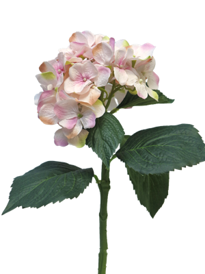 Hortensia Artist roze 48cm