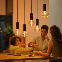 Philips Hue Lightguide - 6,5W - White and color - Ellipse - 929003151301 - thumbnail