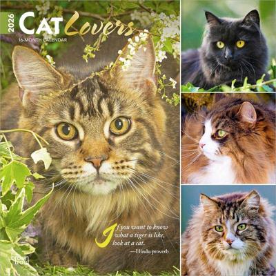 Cat Lovers Kalender 2026