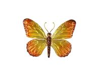 Decostar Countryfield Wandversiering Butterfly S oranje - thumbnail