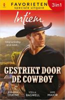 Gestrikt door de cowboy - RaeAnne Thayne, Stella Bagwell, Ann Major - ebook - thumbnail