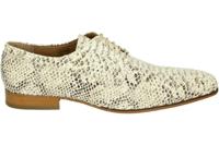 Paulo Bellini 1708 - alle - thumbnail