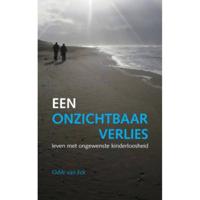 Een onzichtbaar verlies (Paperback) - thumbnail