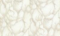 Dutch Wallcoverings Yudashkin 5 10X1,06M - Beige/Zilver - thumbnail