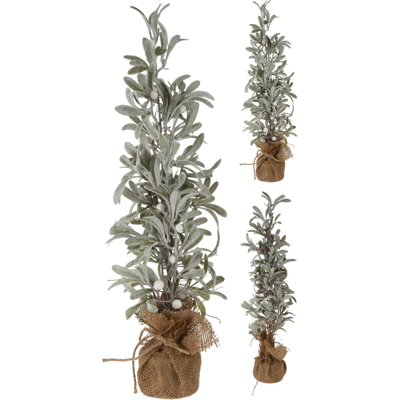 Boompje Sneeuwbes 60cm Assorti 1st Boompje Sneeuwbes 60cm Assorti 1st