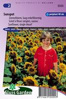 Helianthus Annuus zaden Sunspot zonnebloem - thumbnail