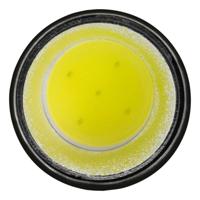 Ansmann Action COB Zaklamp werkt op batterijen LED 175 lm 6 h - thumbnail