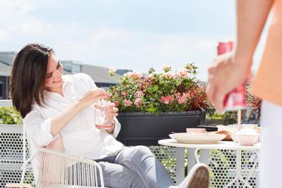 Balkonbak barc xl allin1 55cm ntrct