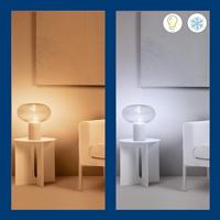 WiZ Lamp Filament - Slimme LED-Verlichting - Warm- tot Koelwit Licht … - thumbnail