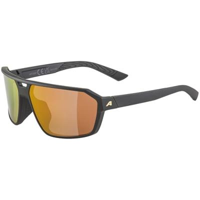 Alpina swift - sports glasses
