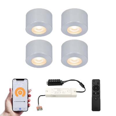 Set van 4 Navarra Smart LED Mini opbouwspots - Veranda spots - 12V 3W 200lm - Dimbaar - Wifi & Bluetooth - 2700K - IP44 waterdicht - RVS