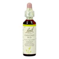 Bach Flower Remedie 07 Chestnut Bud 20ml - thumbnail